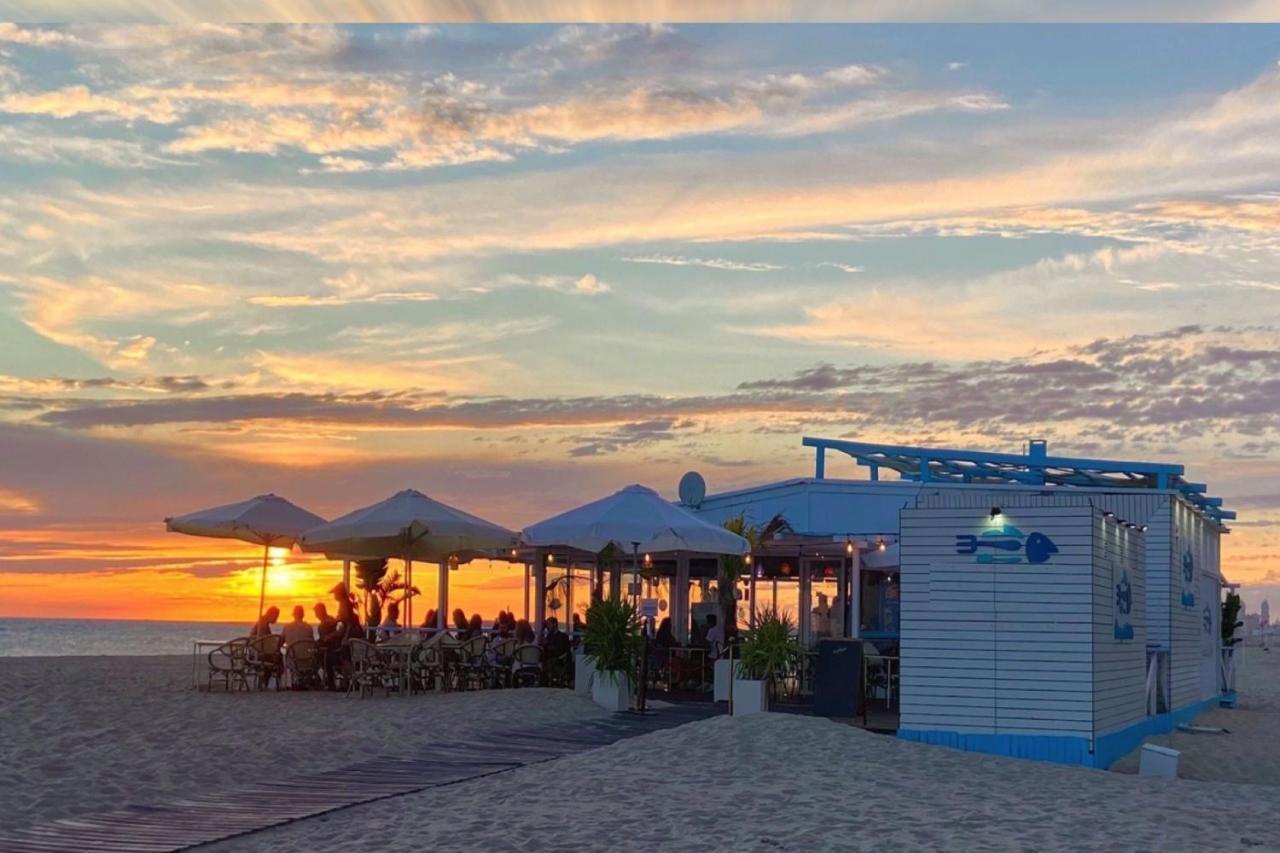 Romantica Vista Al Paseo Maritimo De Cádiz Eksteriør billede